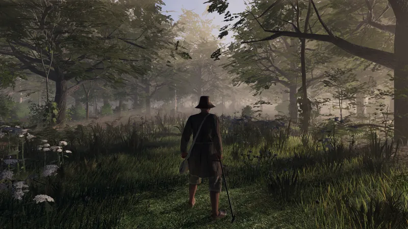 A traveller on a misty forest ride