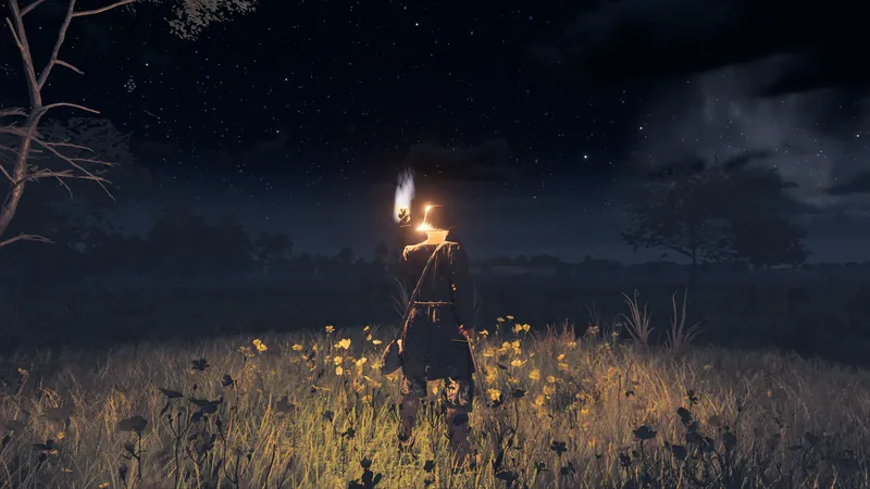 A traveller with a torch in a meadow beneath the stars